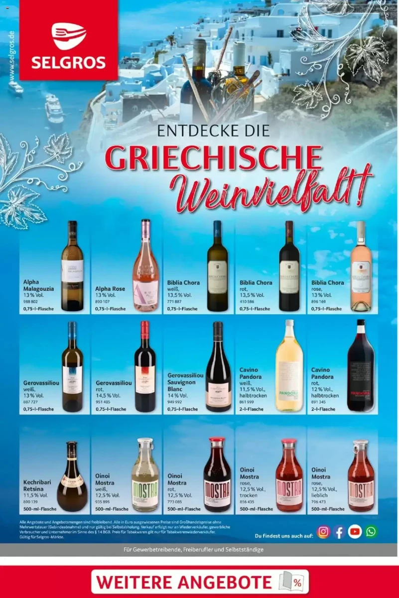 Prospekt Selgros